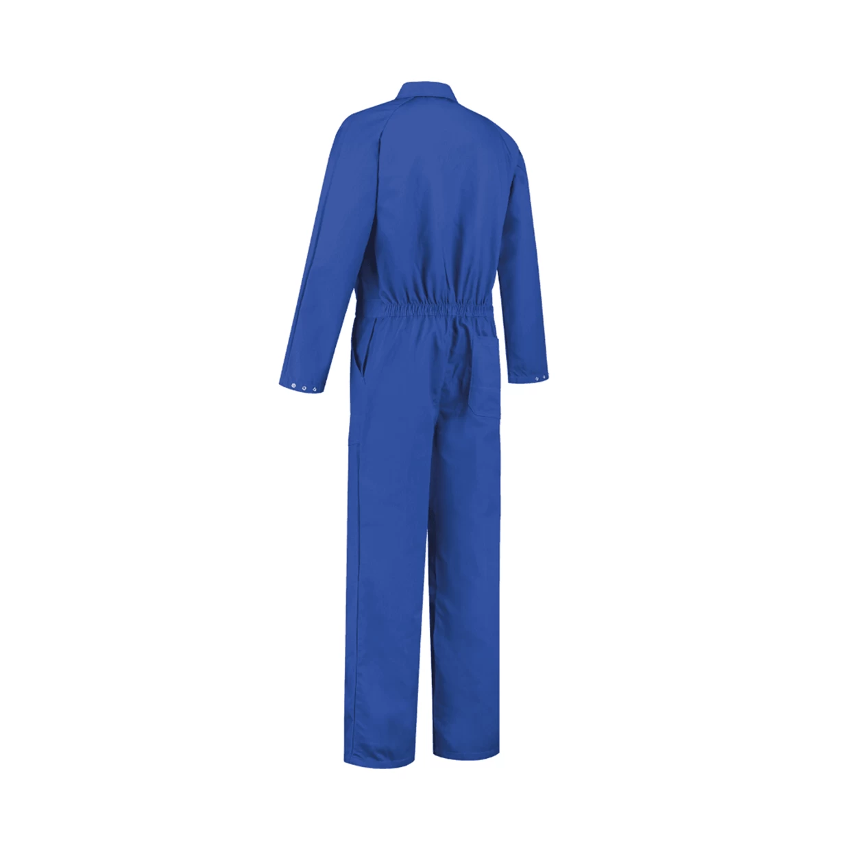 De Boer Overall 100% Katoen Korenblauw - Maat 48 3 De Boer Overall 100% Katoen Korenblauw - Maat 48 - Afbeelding 2